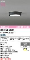 OG254517R