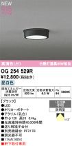 OG254529R