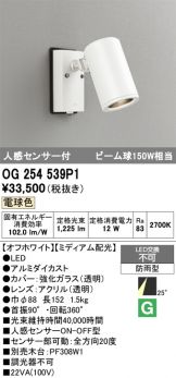 OG254539P1