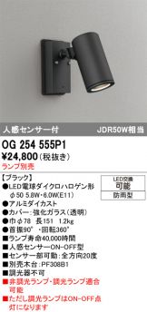 OG254555P1