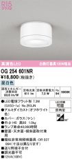 OG254601NR