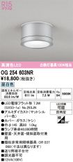 OG254603NR