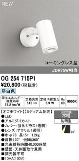 OG254715P1