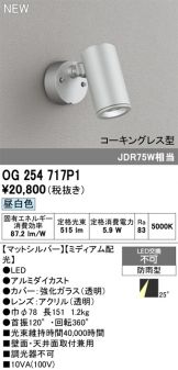 OG254717P1