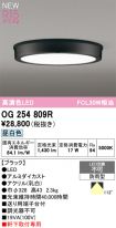 OG254809R