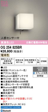 OG254825BR