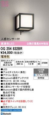 OG254832BR