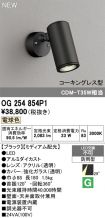 OG254854P1