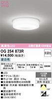 OG254873R
