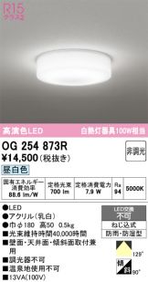 OG254873R