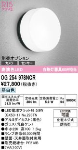 OG254978NCR