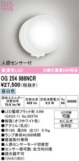 OG254986NCR
