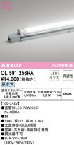 OL591256RA