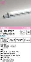 OL591257RC