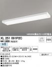 XL251091P2C