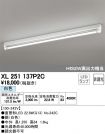 XL251137P2C