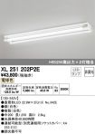 XL251202P2E