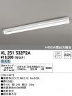XL251532P2A
