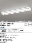 XL251646P1B