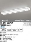XL251646P1C