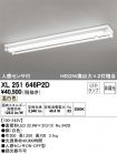XL251646P2D