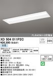 XD504011P2C
