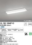 XL501004P1C