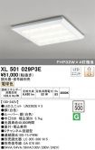 XL501029P3E
