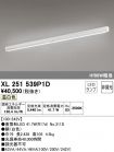 XL251539P1D
