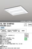 XL501016P2C