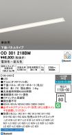 OD301218BM