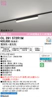 OL291572R1M