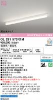 OL291573R1M