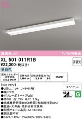 XL501011R1B