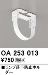 OA253013