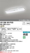 XR506001P3D