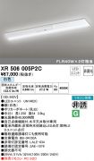 XR506005P2C