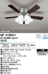 WF419NC1