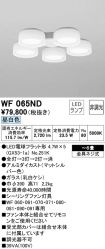 WF065ND