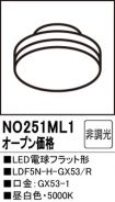 NO251ML1