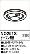 NO251S