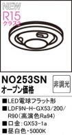 NO253SN