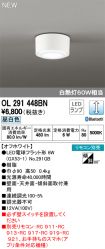 OL291448BN