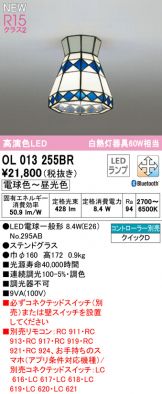 OL013255BR