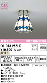 OL013255LR