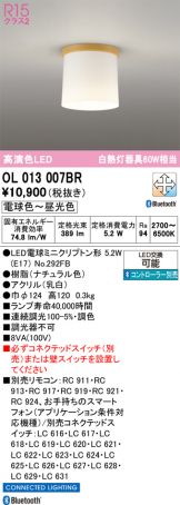 OL013007BR