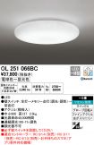 OL251066BC