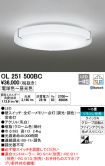OL251500BC