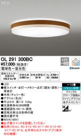 OL291300BC