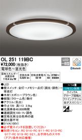 OL251119BC